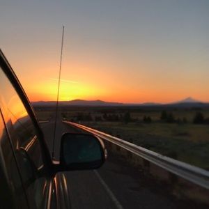 Meet your Posher, Austin